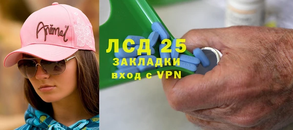индика Мегион