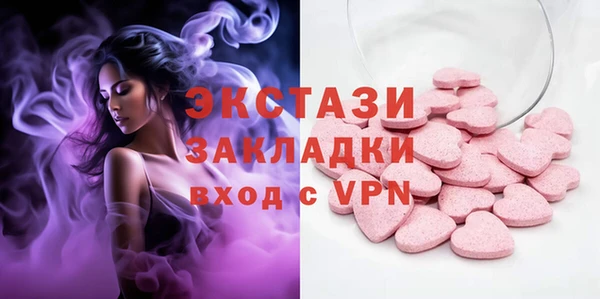 индика Мегион