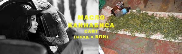 индика Мегион