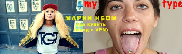 индика Мегион