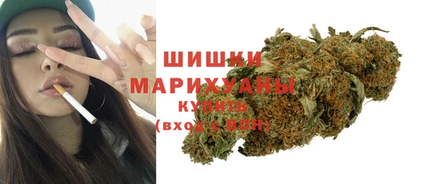 сатива Волоколамск