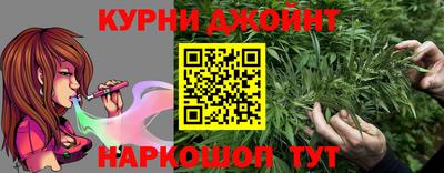 шишки Будённовск