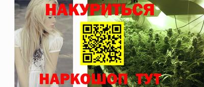 шишки Будённовск