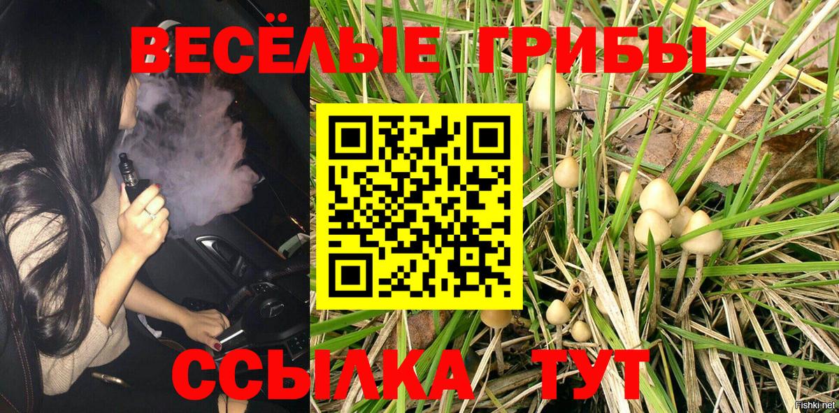 Псилоцибиновые грибы Magic Shrooms  Вход с VPN  Выкса 