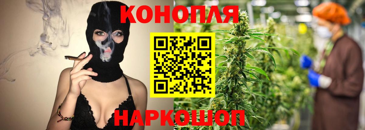 Каннабис SATIVA & INDICA  Конопля MAZAR  Каннабис семена  Выкса 